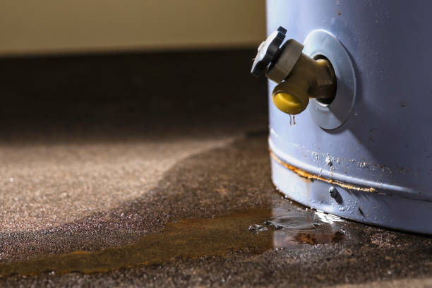 Best Water damage cleanup near me  in Yellville, AR