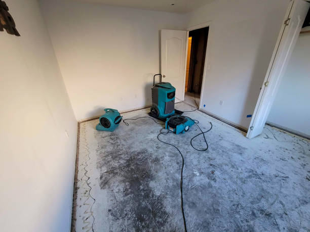 Best Flood damage cleanup  in Yellville, AR