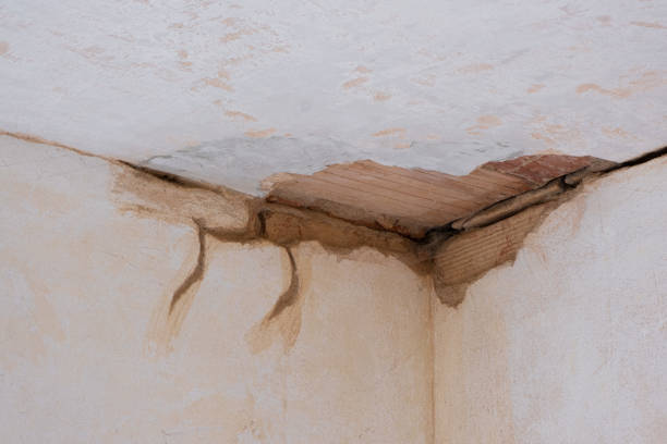 Best Water damage restoration near me  in Yellville, AR
