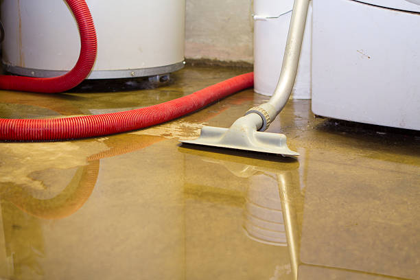Best Water damage restoration near me  in Yellville, AR