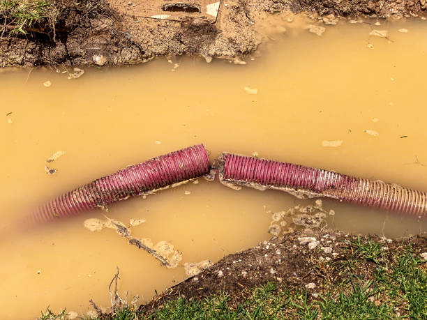 Best Flood restoration services  in Yellville, AR